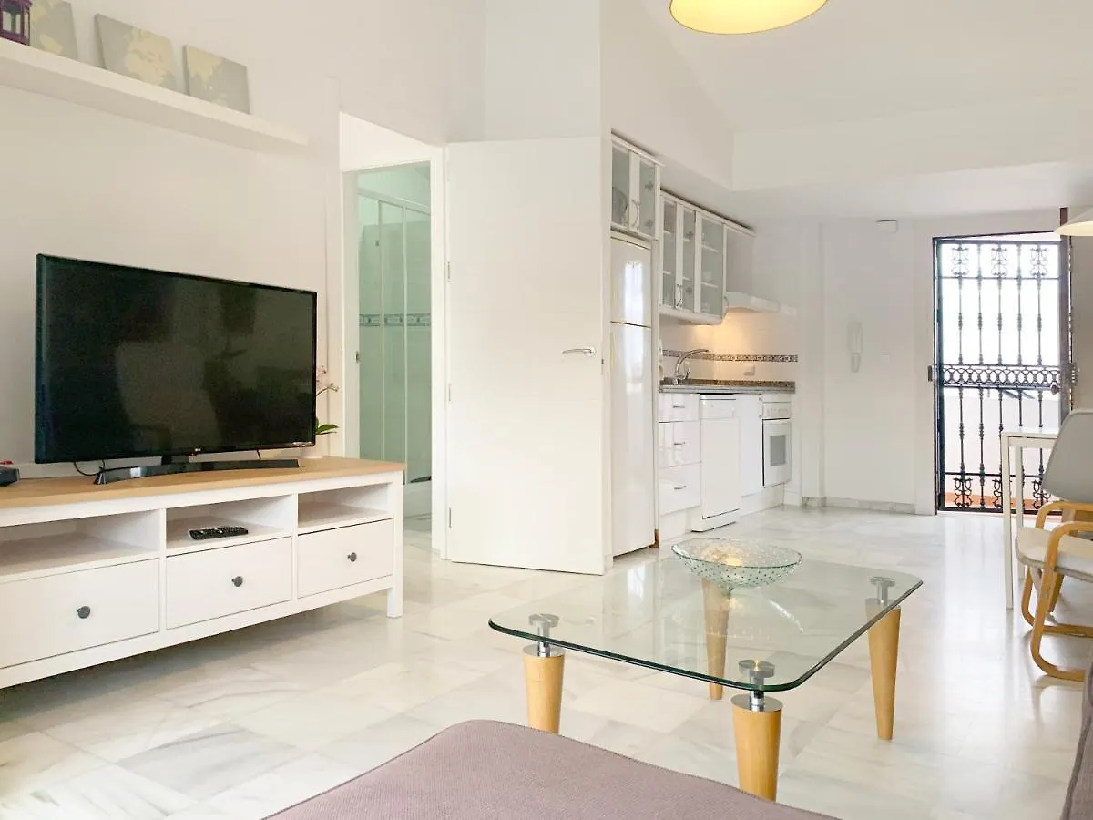 Apartment Malagadevacaciones - Elcano 20